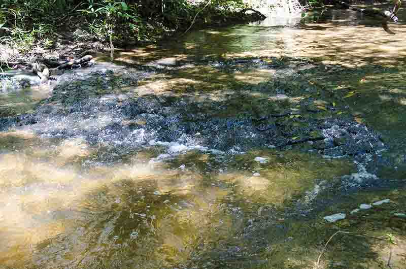 87 - Camboya - Kbal Speam o valle de las mil lingas - grabados en el lecho del rio